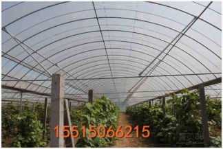 安阳腾达温室拱棚建造团队 专业技术与优质服务的首选