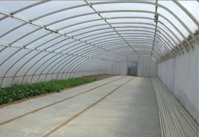 日光温室大棚的结构特点与应用