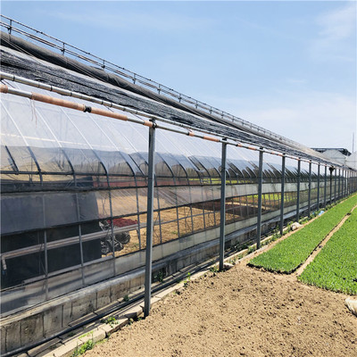 节能日光温室承建 高效农业的关键解决方案