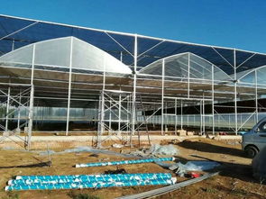 连栋温室优质产品新闻动态